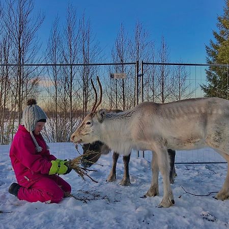 Beautiful Rural Experience With Reindeer Vila Tervola Exterior foto