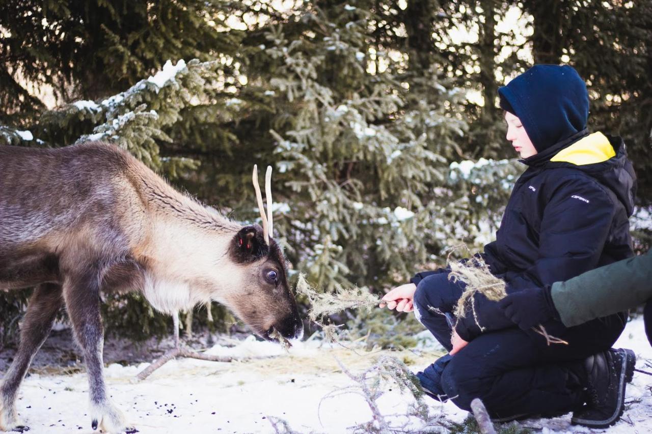Beautiful Rural Experience With Reindeer Vila Tervola Exterior foto