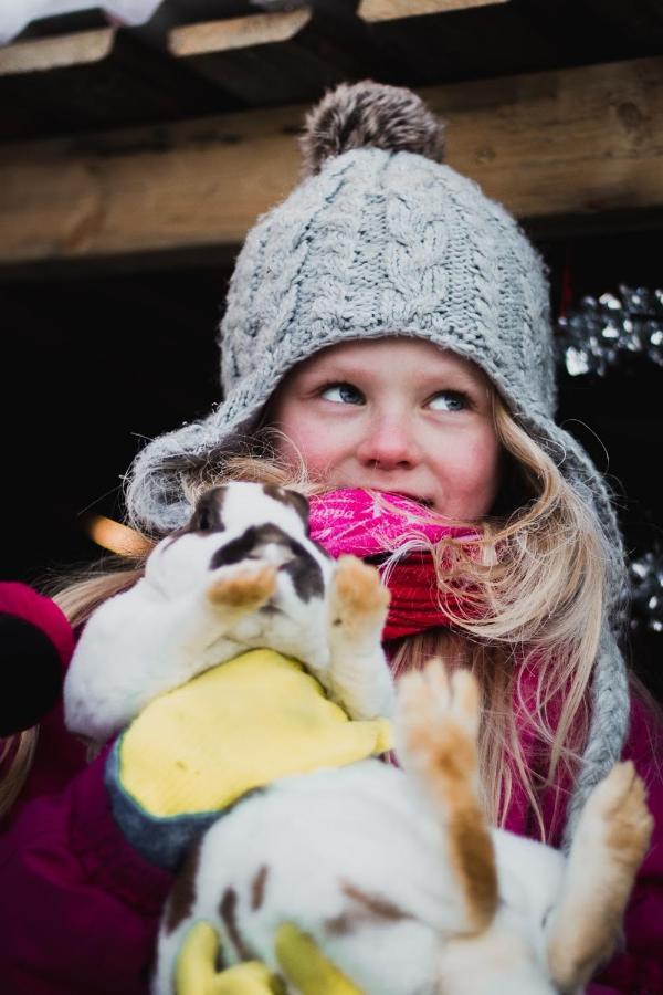 Beautiful Rural Experience With Reindeer Vila Tervola Exterior foto